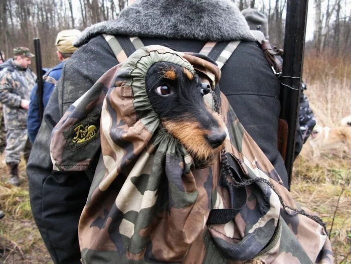 Ты принес с собой ружье? Лучше, я принес яга!