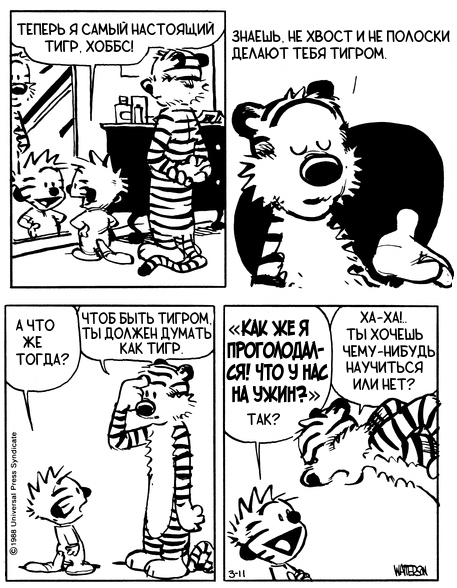 ���� ���� ������ �5