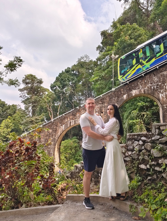 ���� - �����