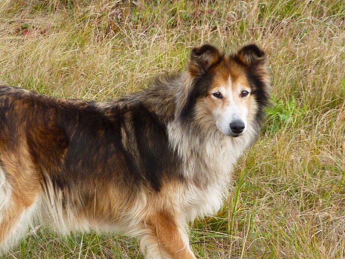 Скажи что нибудь