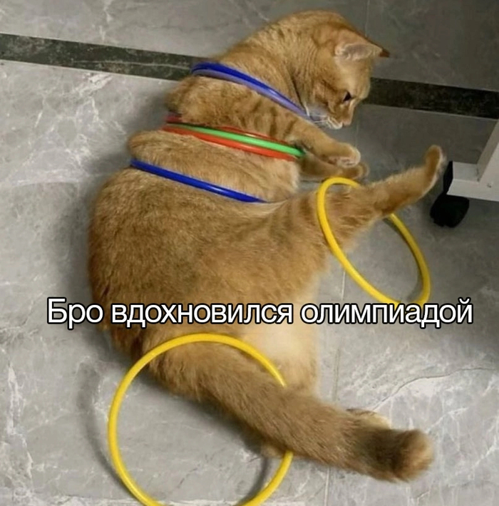 �������� ��������