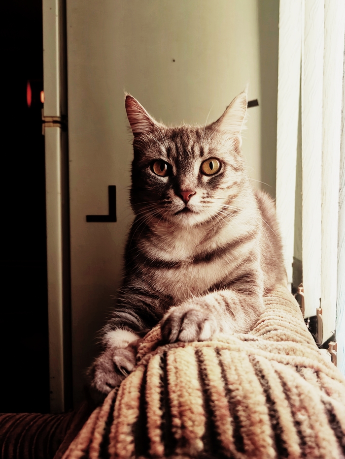 Ф - Фотогеничность