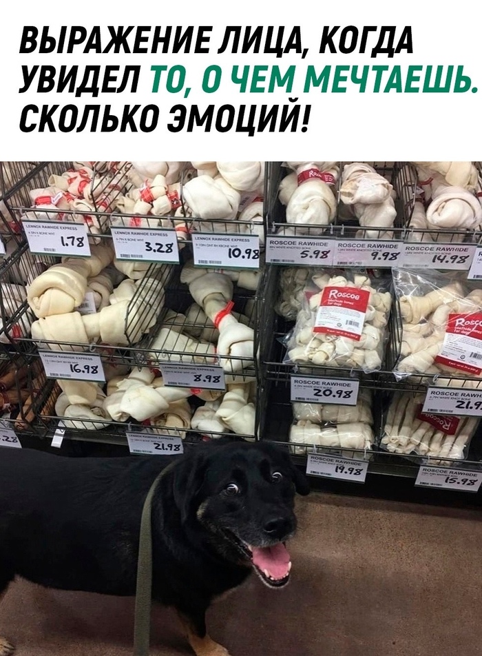 Глаза полные счастья