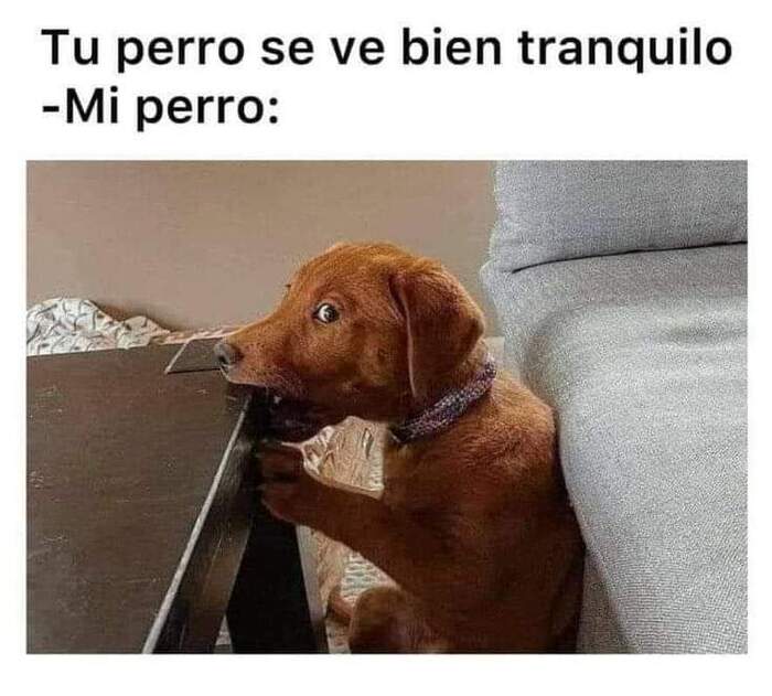   ...   ,   ,  
