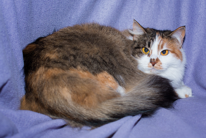 ������� ��������� ������ ���...���-���� �����?