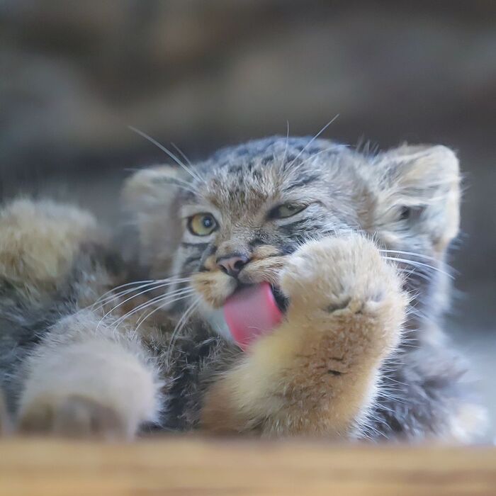 ׸, ��������, ����������� � ���� �� ������?