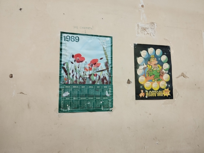 Статской физкультурникъ