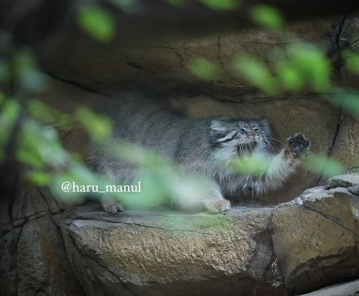 ������! �������� ��������!