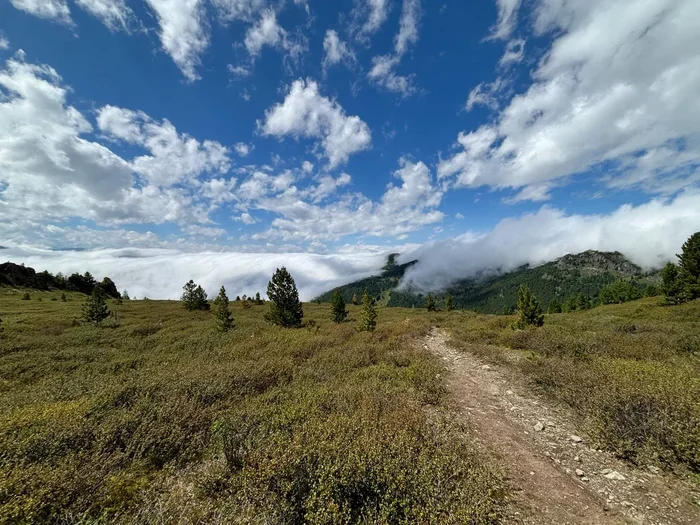 Do you remember your birthdays? - Chudnoy DR, Nostalgia, Altai Mountains