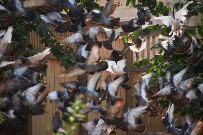 Один день - одно фото. #49