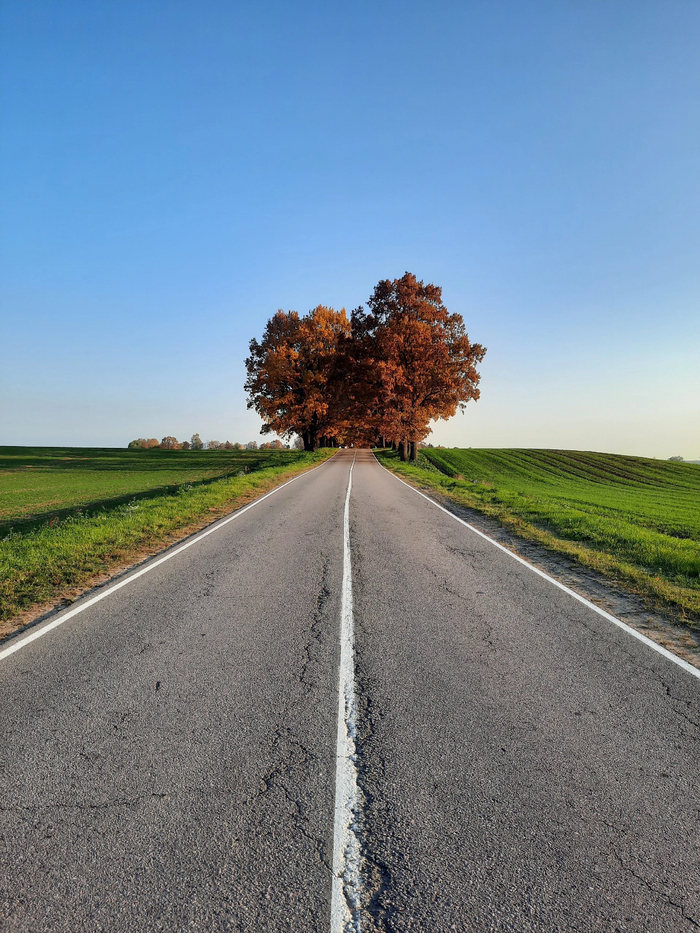 Шоссе в никуда. Ленинградская область