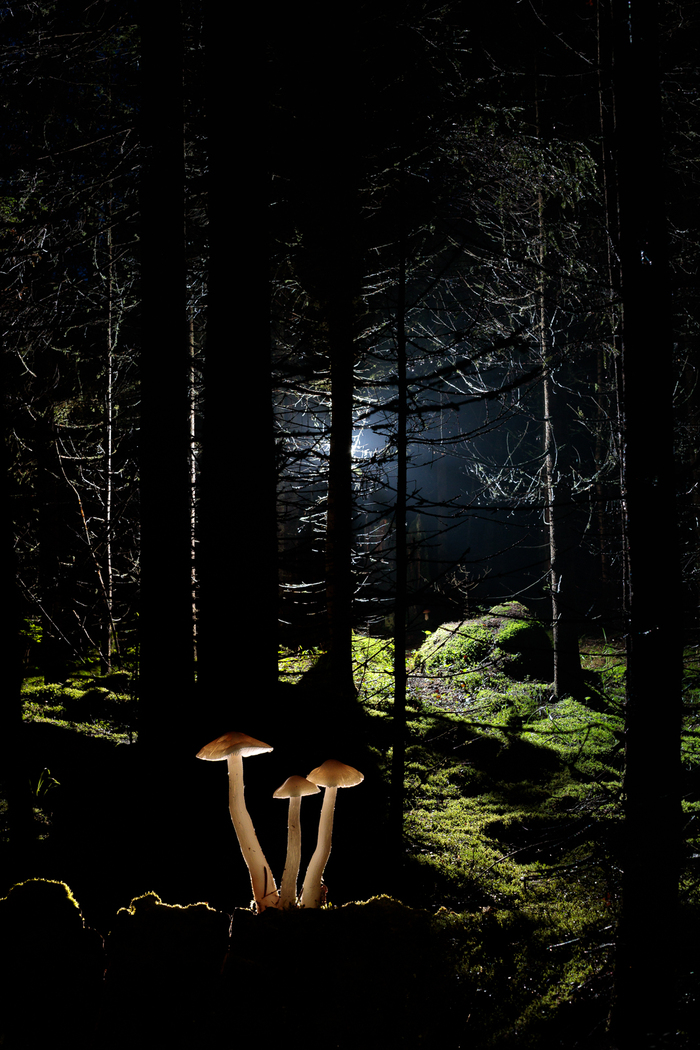 ,  ,   ,  ,        (   ,     ,  -  ).     ,      -  .