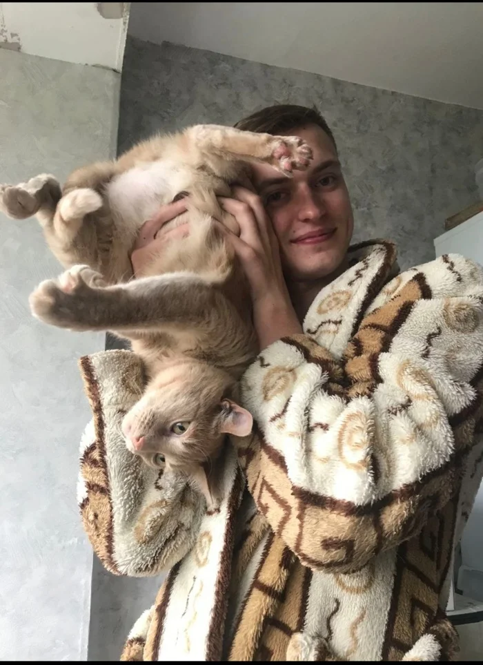 It was - it was - My, Picture with text, Milota, Longpost, It Was-It Was, cat