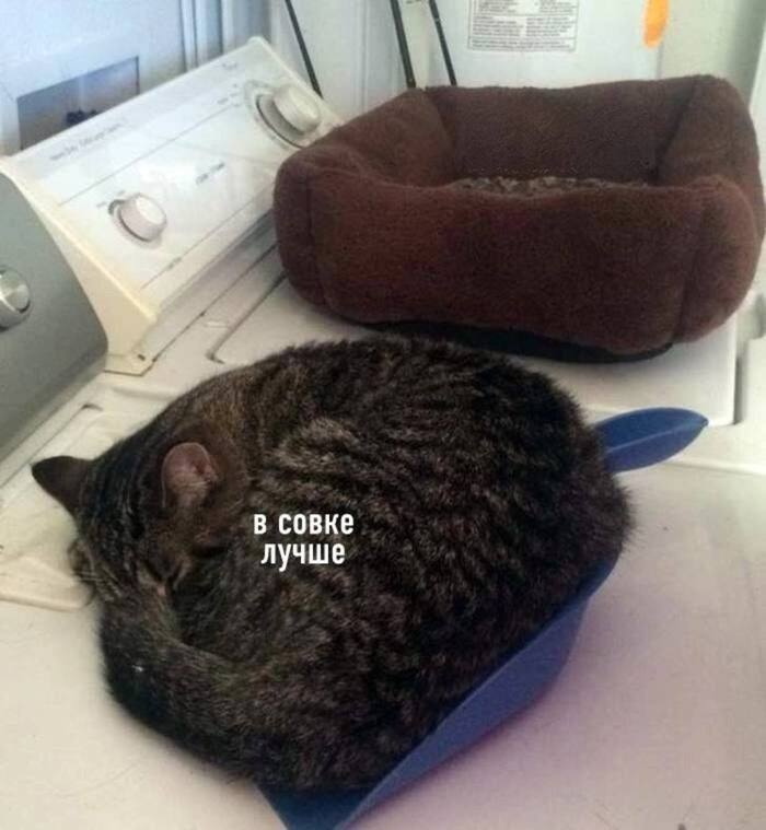 Тот сaмый приятель, скучaющий по СССР