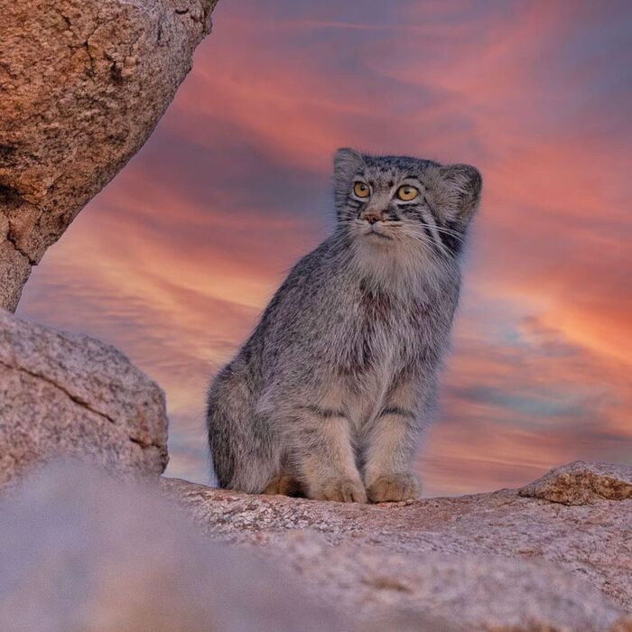 На вечерней зорьке