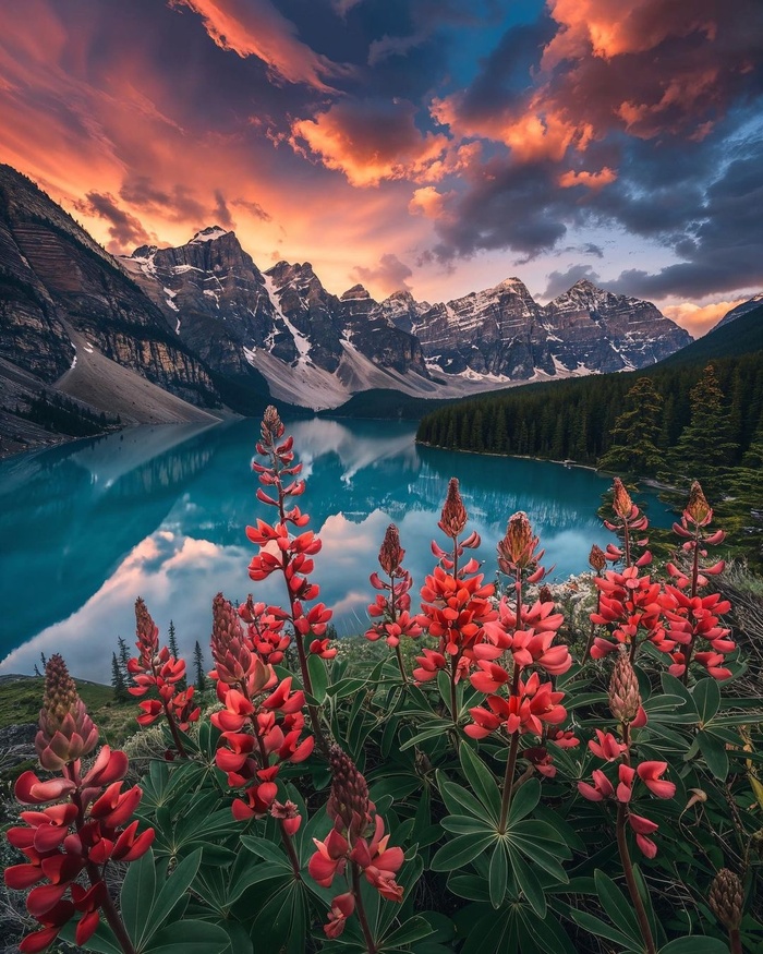 ������ ����!