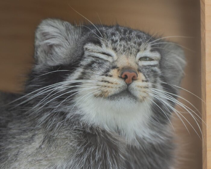 � ���������... ��������...