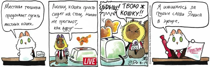 Koteikin News from 08/19/2024 - My, Translation, Koteikin news (comic), Comics, cat