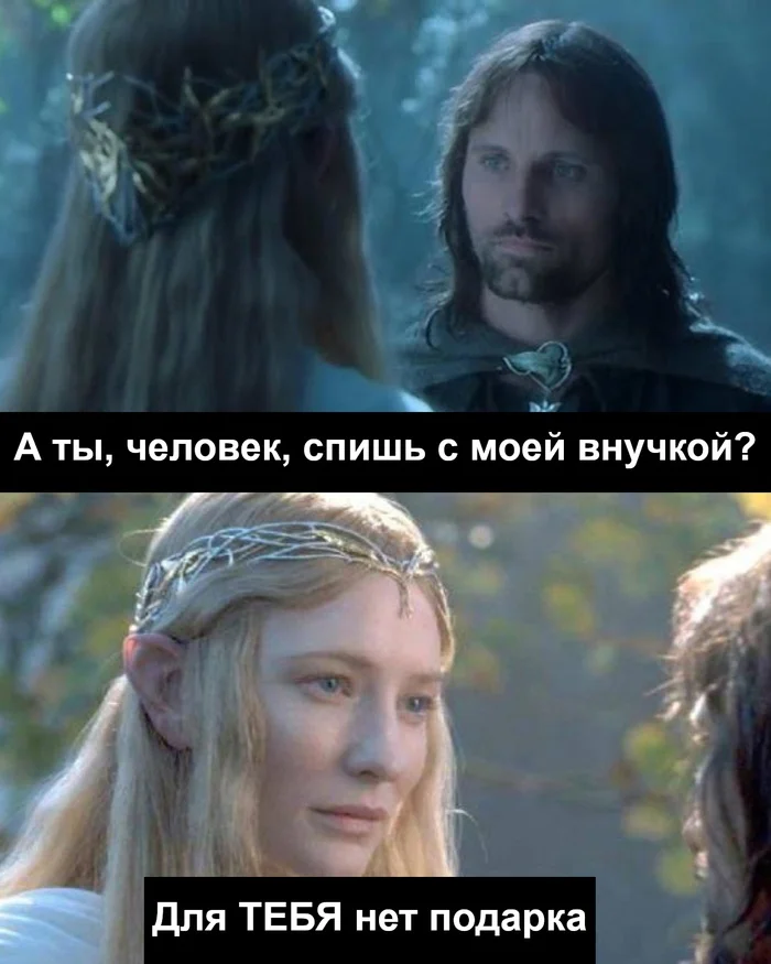 He's had enough - Lord of the Rings, Galadriel, Aragorn, Arwen, Picture with text, Translated by myself, VKontakte (link)