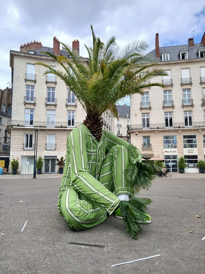 I am Groot - My, Palm trees, Installation, Street photography, Mobile photography, Longpost