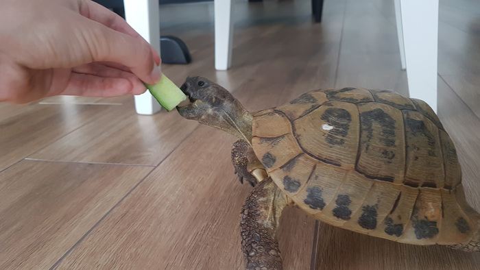    , , , , 