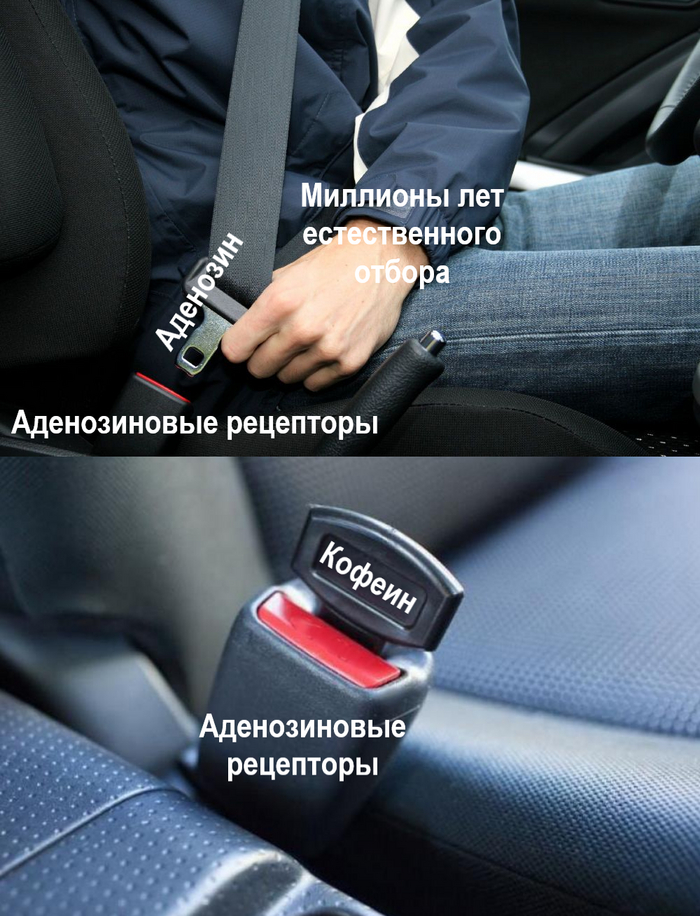 Я против заглушек, но две чашки кофе в день мне необходимы