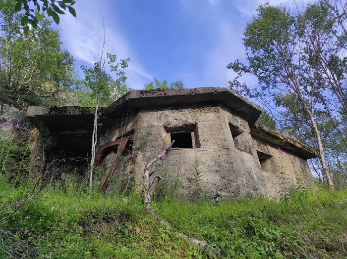 Messages from Soviet military personnel in the old bunker. An unexpected find - Pillbox, Made in USSR, Dembel, Abandoned, Yandex Zen, Yandex Zen (link), Longpost