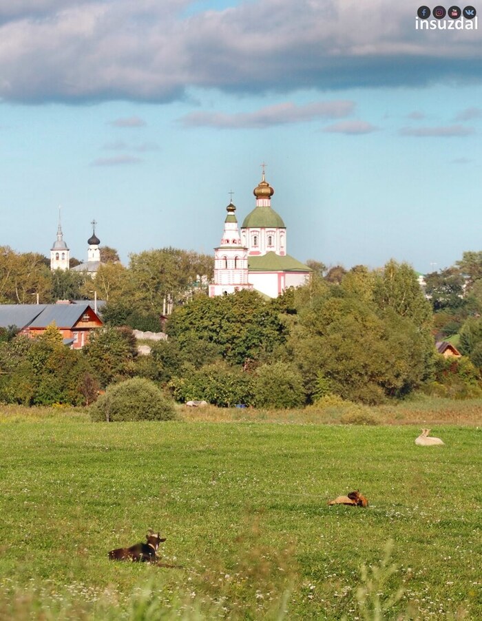Суздаль. Ильинский луг. Фото: <a href="https://pikabu.ru/story/gde_poluchayutsya_luchshie_fotografii_suzdalya_11768356?u=https%3A%2F%2Fvk.com%2Finsuzdal&t=insuzdal%20%2F%20%D0%92%D0%9A%D0%BE%D0%BD%D1%82%D0%B0%D0%BA%D1%82%D0%B5&h=c370f0f0a3dbd4d6c97090cefe665105070f9eb7" title="https://vk.com/insuzdal" target="_blank" rel="nofollow noopener">insuzdal / ВКонтакте</a>