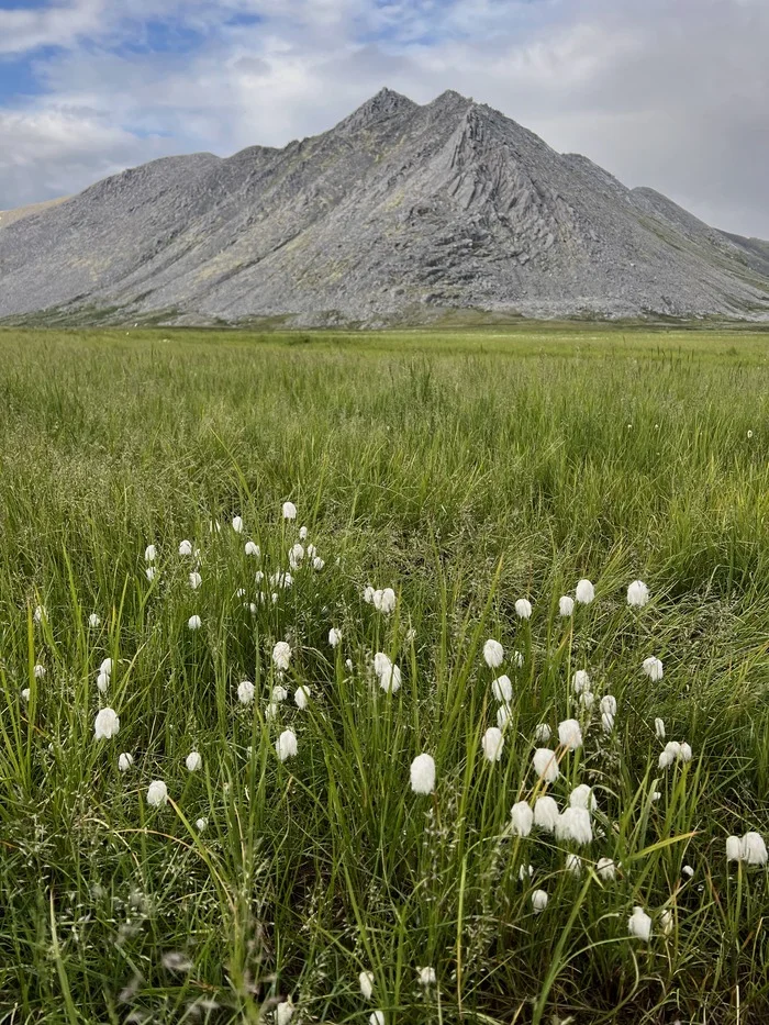 Travel to the Subpolar Region. Start - My, Hike, Travel across Russia, Mountain tourism, Camping, Circumpolar Urals, Inta, Komi, Туристы, The mountains, Longpost, The photo