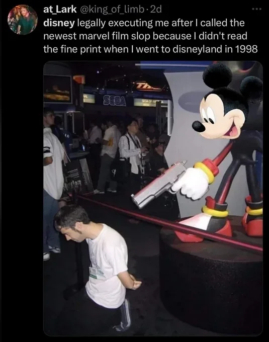 I can believe this - Walt disney company, Disneyland, Execution, Mickey Mouse, Court, Claim