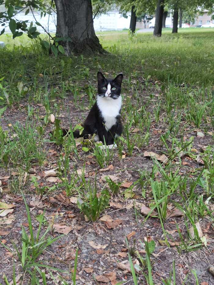 ����� � ����� ��� ���������, ��������. ���������, ������� �� ������, ��������, ��������� ������.