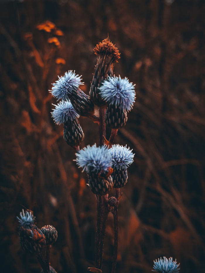 Без названия