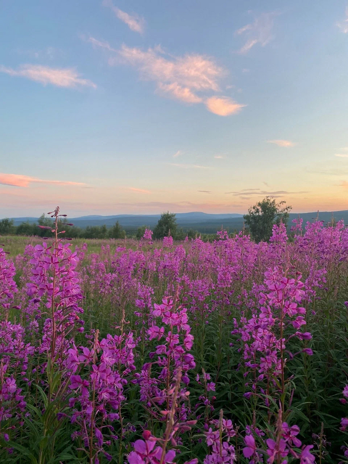 ������������ ����