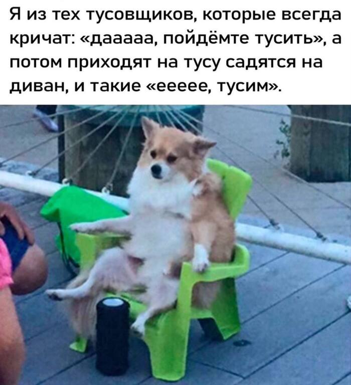 И я тихонько превращаюсь в "ееее, не хочу тусить"