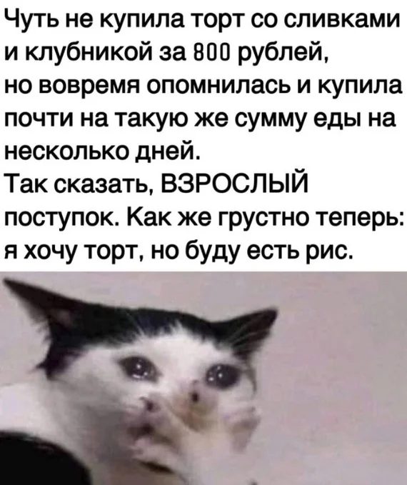 Sad - From the network, Picture with text, Humor, cat, Sad humor, Cake, Food, Memes