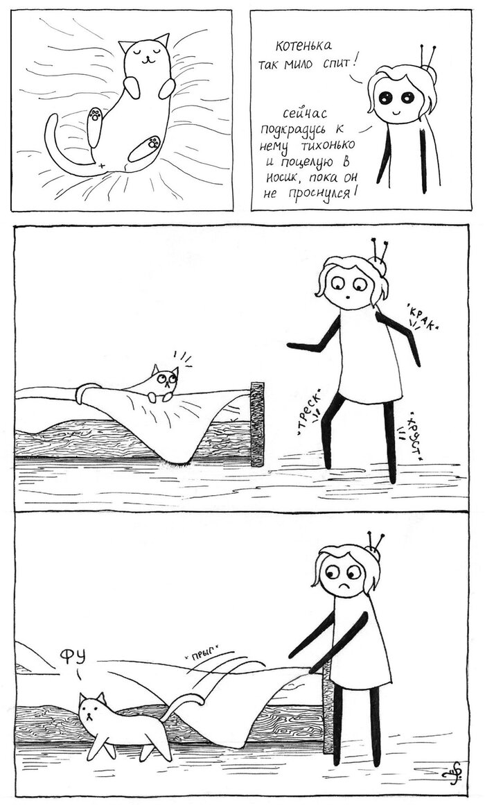 Когда хочешь подкрасться к коте, но старость мешает