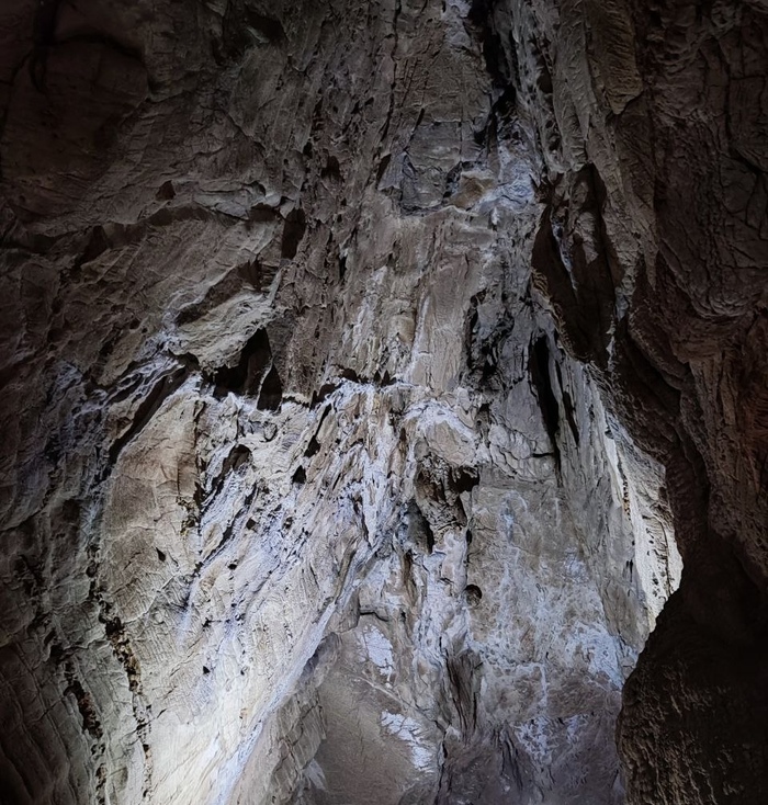 (Подсвечиваю фонариком)