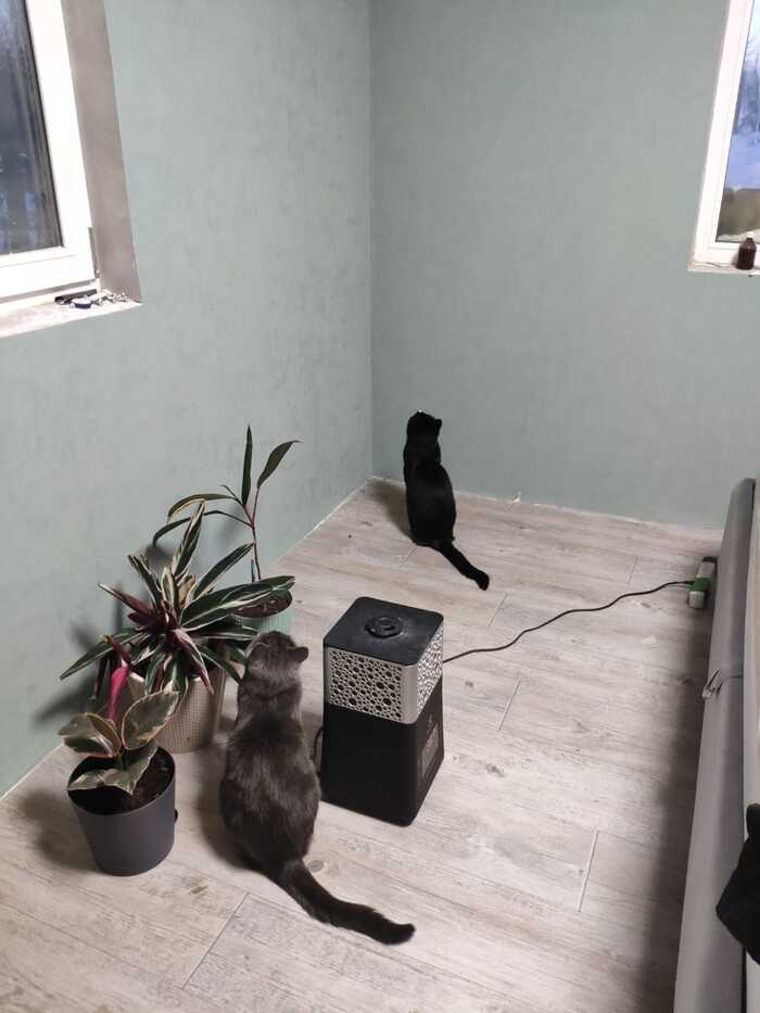 Давнее фото, сейчас тут стол и плинтус