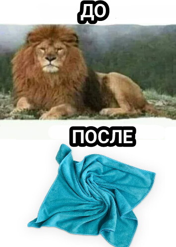 ���� �����