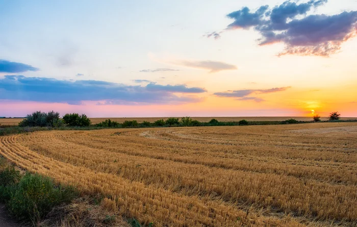 Turn to the sun - My, The photo, Nikon, Nature, Landscape, Sunset, Field, Beautiful view