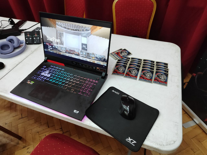 14 ����, ����� Star Paws