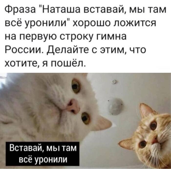 Наташа вставай...
