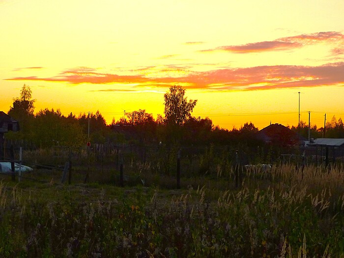 Разлили золото