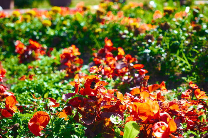 Cнято на: Fujifilm X-A3, Fujifilm XC-15-45mm F3.5-5.6 | f/5.6, 1/250, iso-200, 45mm.