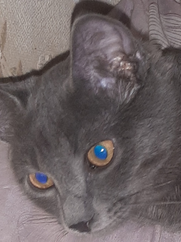 ... , , , , 