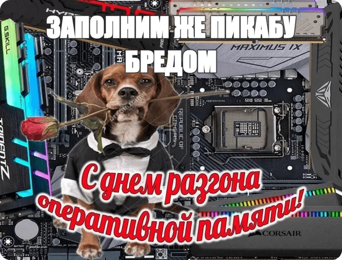 С ДР кароч - День рождения Пикабу, Генератор мемов, Картинка с текстом, Мемы