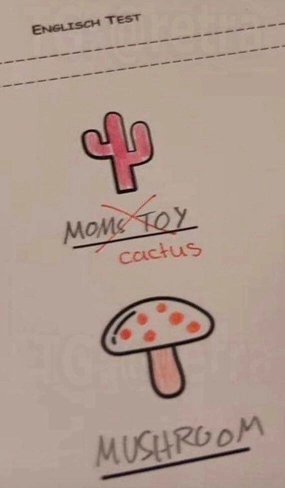 Cactus - Cactus, Images, English language