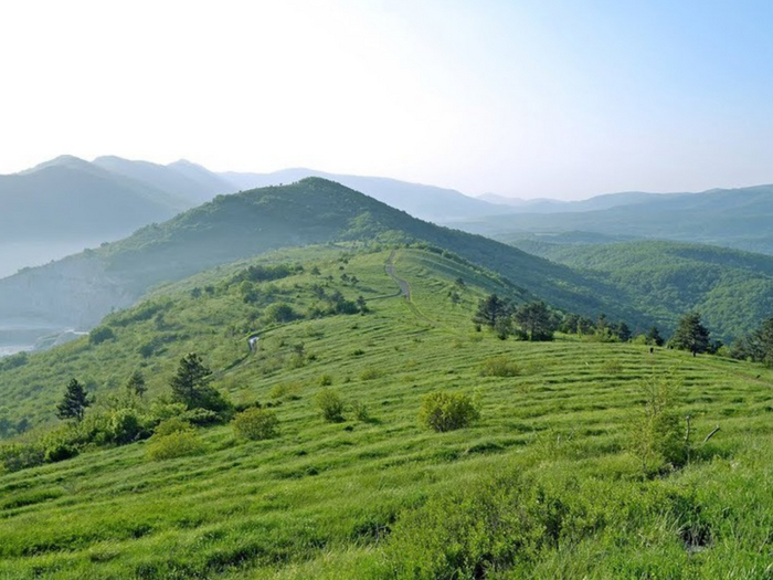 ���� ������