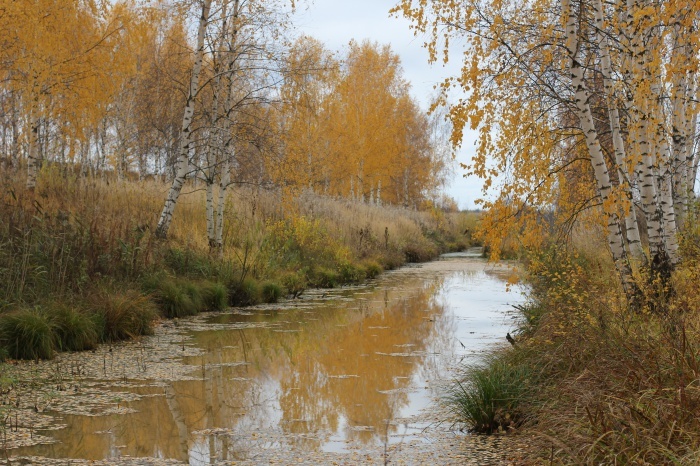 ����� �� ���� � �������