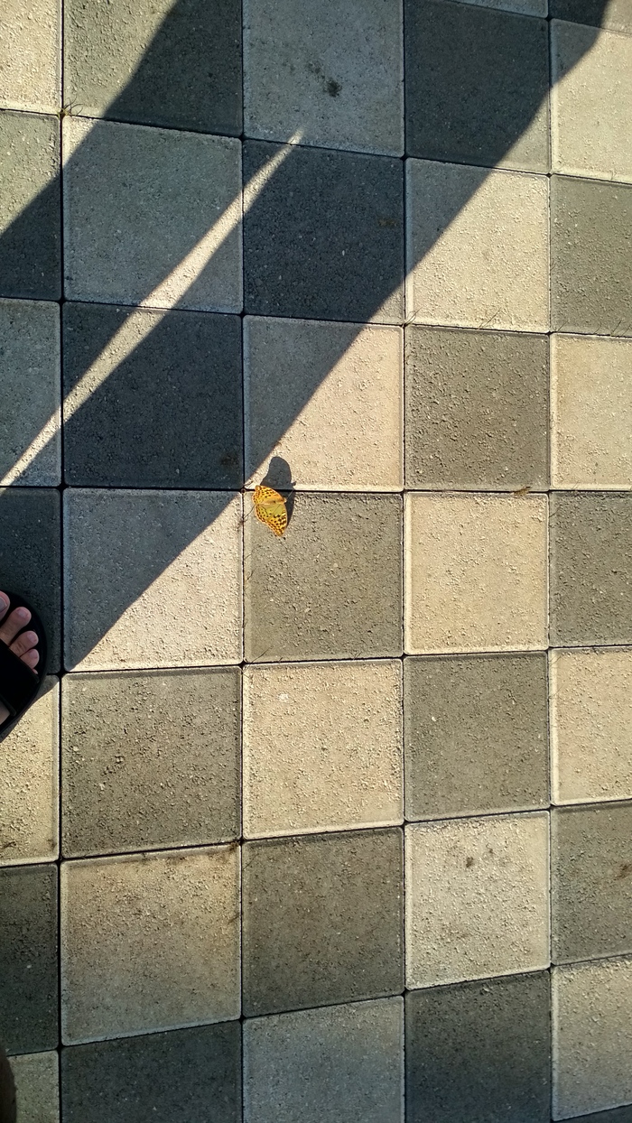     , , , , , , , 